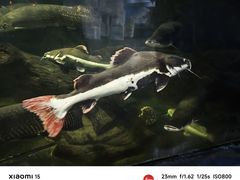 -泉州海丝野生动物世界