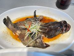 清蒸石斑鱼-鱼乐轩·俄罗斯海鲜直供餐厅(群力店)