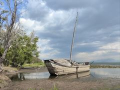 -洱海月湿地公园