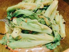 -新同乐鱼翅酒家(美丽华店)
