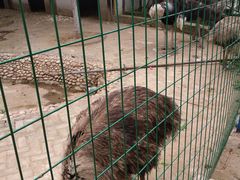 -武汉紫薇都市田园