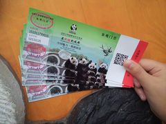门票-成都大熊猫繁育研究基地