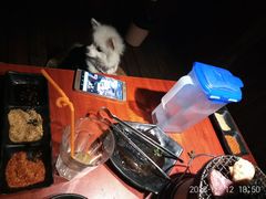 -汪喵宠物医院·骨科心脏影像·犬猫急重症ICU诊疗中心(成华分院)