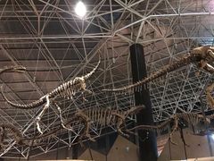 -世界恐龙谷景区