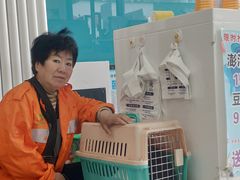 -中农大我爱我爱动物医院·核磁CT·猫病·24小时夜诊中心(石佛营店)