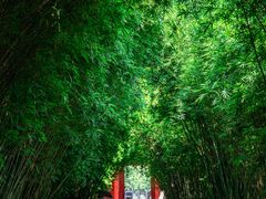 -望江楼公园