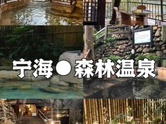 -江南天池高山汤泉城