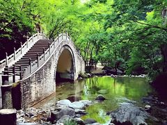 -牛背梁国家森林公园