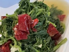 -沙州食驿·非遗小吃夜市