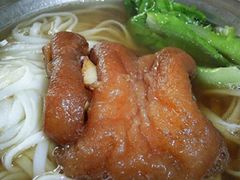 猪脚粉-专业猪脚粉