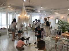 大堂-共舞时光猫咖·狗咖(新街口店)