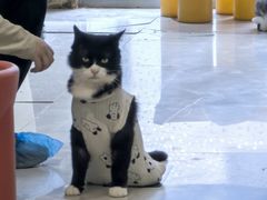 -平行世界·猫咖(首经贸店)