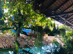 -自然餐厅(Phuket)