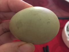 -绿岛生态园