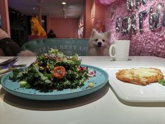 -百好乐宠物友好餐厅(朝外大街店)