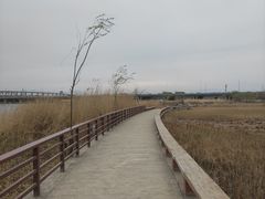 -绿堤公园
