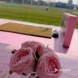 👸女神季限定高尔夫下午茶｜一场优雅与运动的碰撞