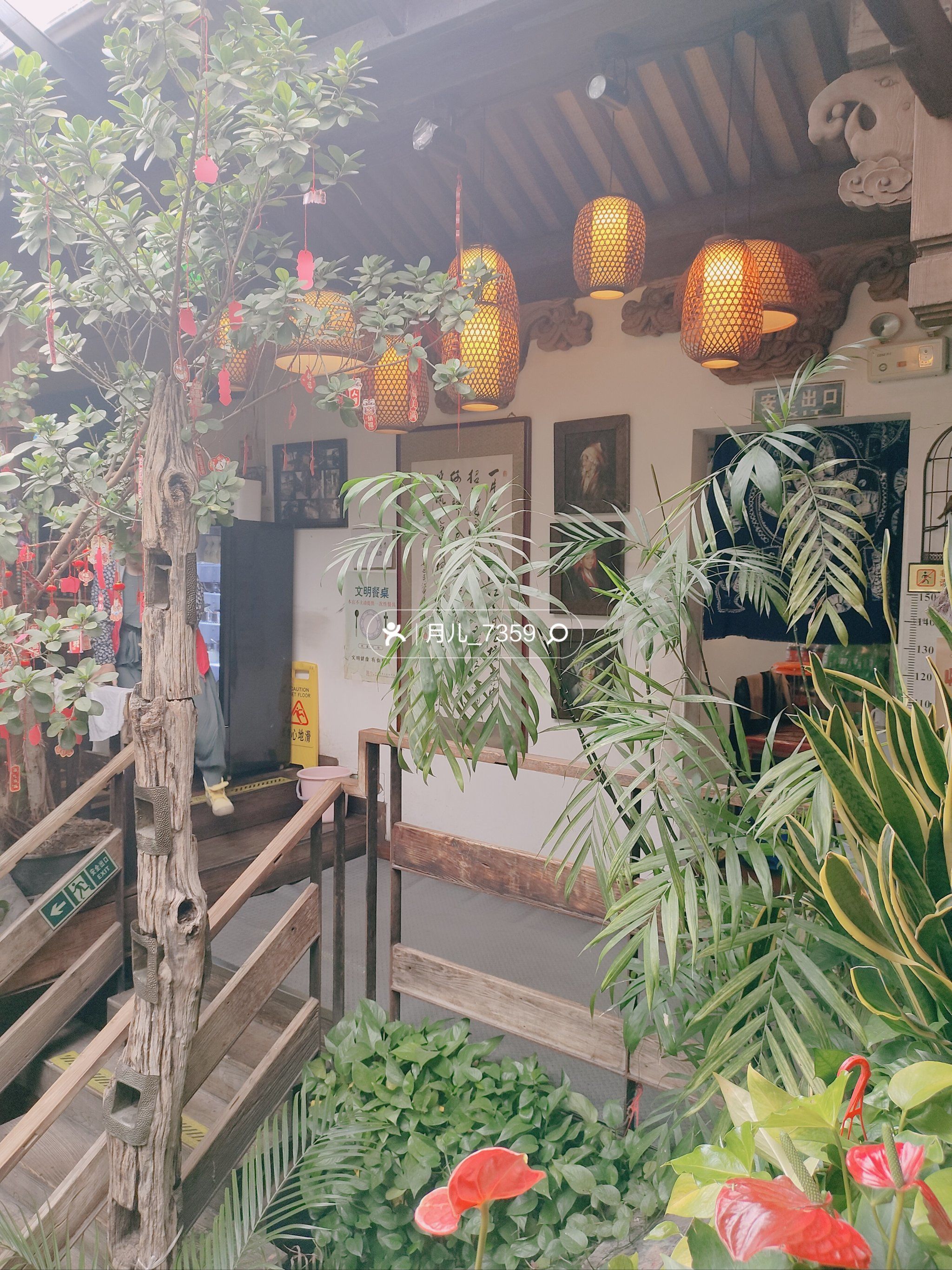 北京四合院里的滇南之鲜,四季如春的束河人家