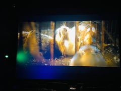 -万达影城(蜀都万达广场IMAX店)