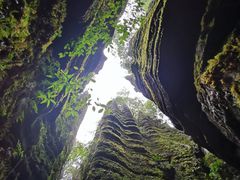 -梭布垭石林景区