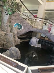 -五洲妇儿医院