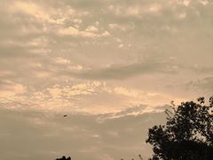 -味千拉面(惠州文昌一路分店)