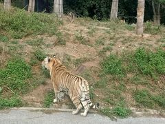 -大连森林动物园