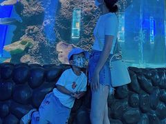 -石家庄海洋公园