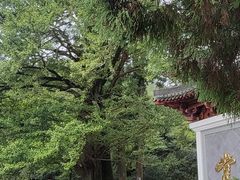 -径山寺