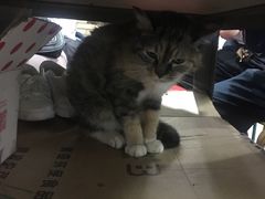 -老地方面馆(思南路店)
