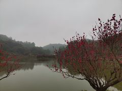 -南国桃园旅游度假区