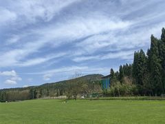 -武陵山森林公园