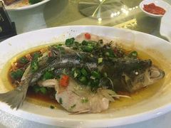 蒸鱼-壹厨饭店(五羊店)