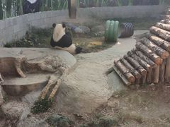 -南昌动物园
