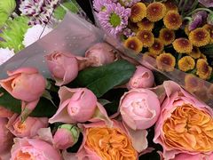 -秦美花卉(天朗·莱茵小城2期店)