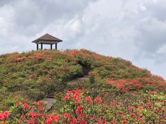 -大围山国家森林公园