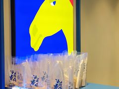 -春丽小马(济南恒隆广场店)