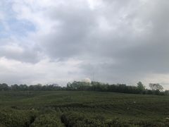 -南京市江宁方山