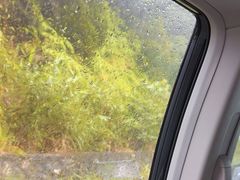 -海南热带雨林国家公园吊罗山景区