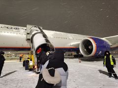 -谢列梅捷沃国际机场