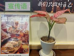 -前进5路汉堡炸鸡(昙华林店)