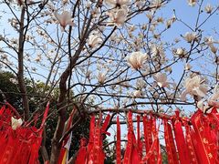 -长春观