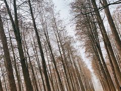 -渌洋湖湿地公园