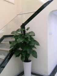 -苗医生草本科技祛痘