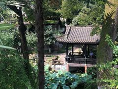 -桂湖森林公园