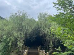 -金钉子远古世界景区