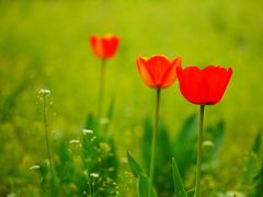 -哈尔滨文化公园