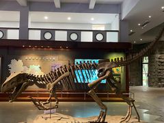 -自贡恐龙博物馆