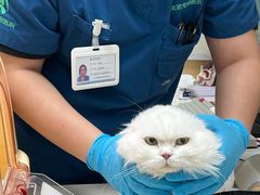 -瑞派康怡24h宠物医院·犬猫医疗中心·微创绝育(瑞景分院)