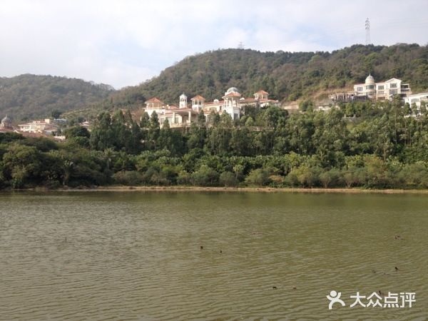 广州碧桂园凤悦凤凰城酒店外景图片